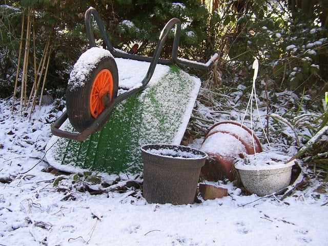 Six Ways to Prepare Your Garden for Winter