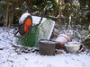 Six Ways to Prepare Your Garden for Winter